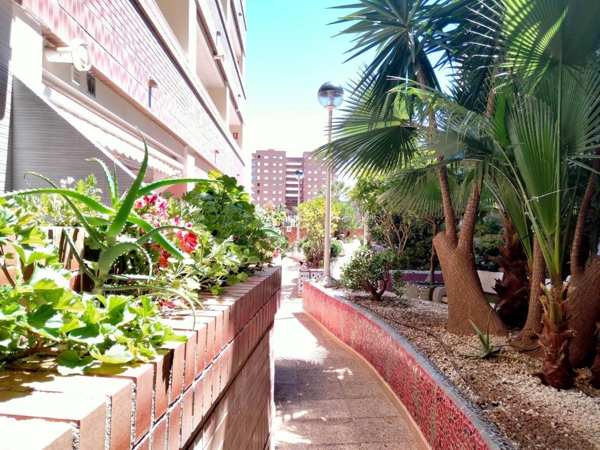 Acv - Playa Coral I-2ª Linea Planta 3 Norte Oropesa del Mar Dış mekan fotoğraf